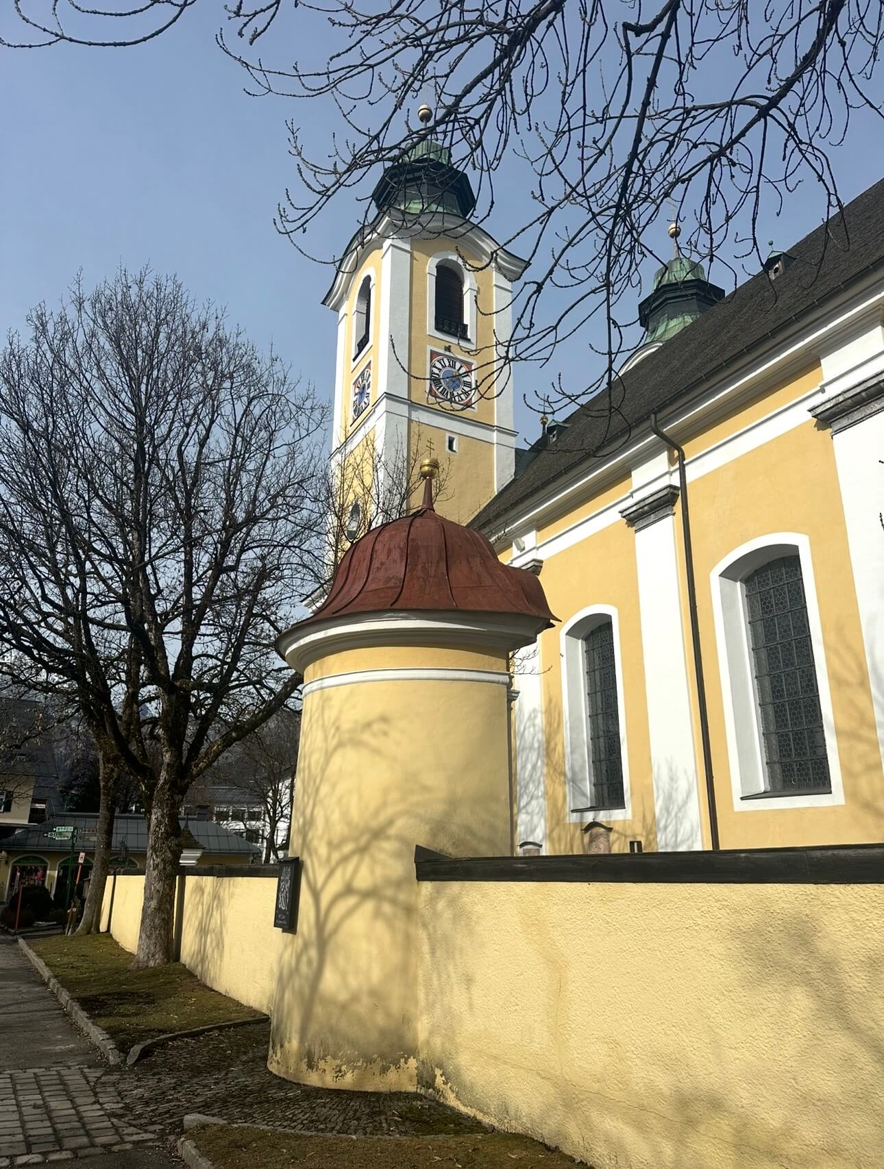 IMG 3550