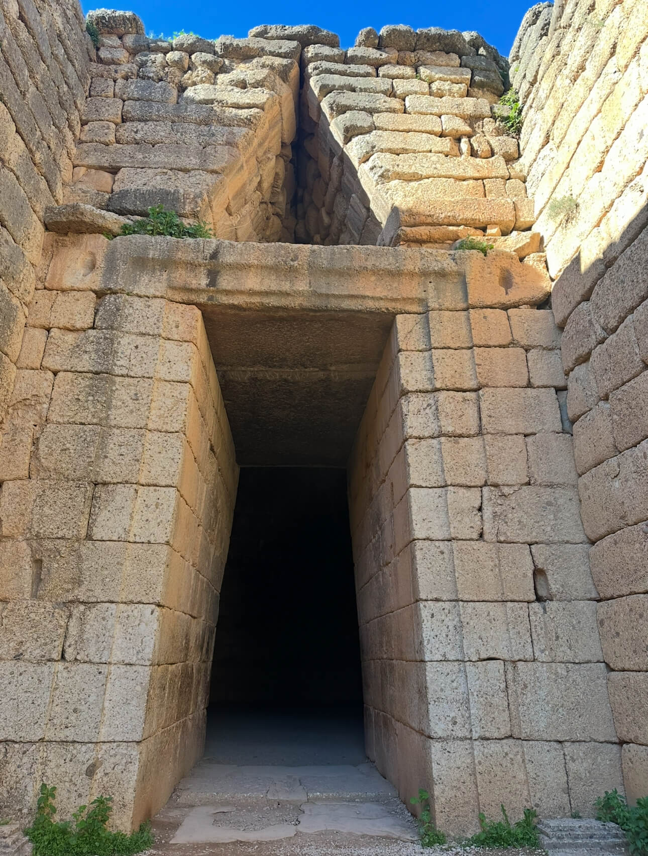 IMG 2015