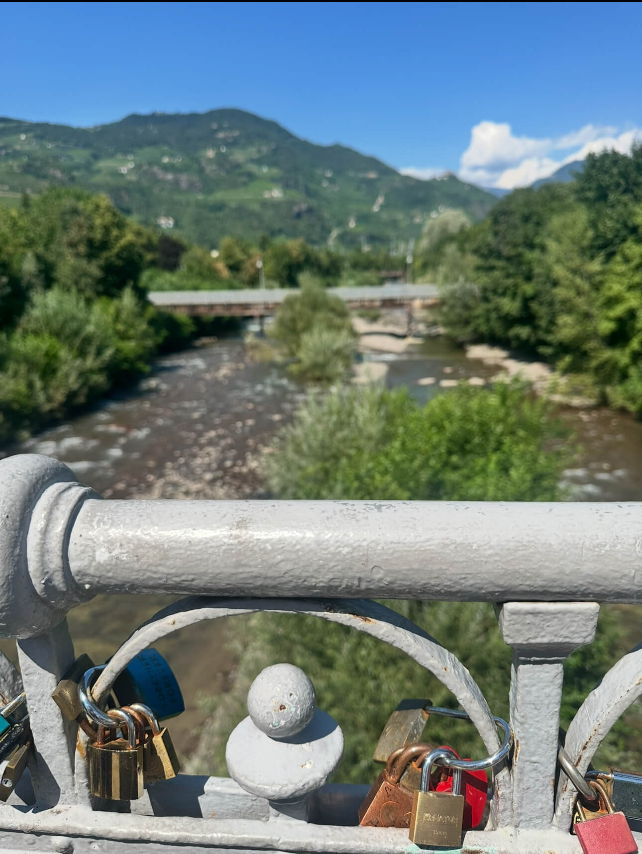 IMG 7289
