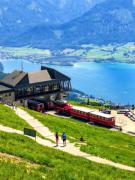 salzburgerlandcat600x800