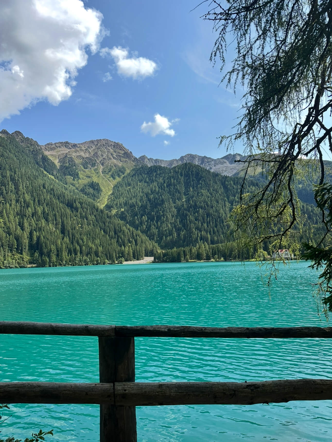 IMG 7236